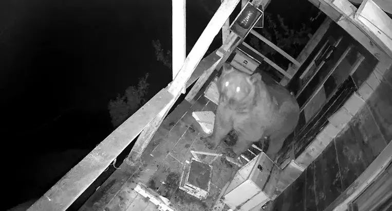 İlçeye bağlı Keler Mahallesi’nde oturan Mustafa Tüfekçi, boş durumdaki taş