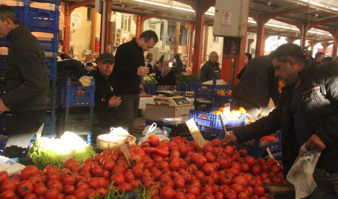 Çanakkale’nin kendine has aroması ve rengiyle bilinen domatesi, Kaz Dağları