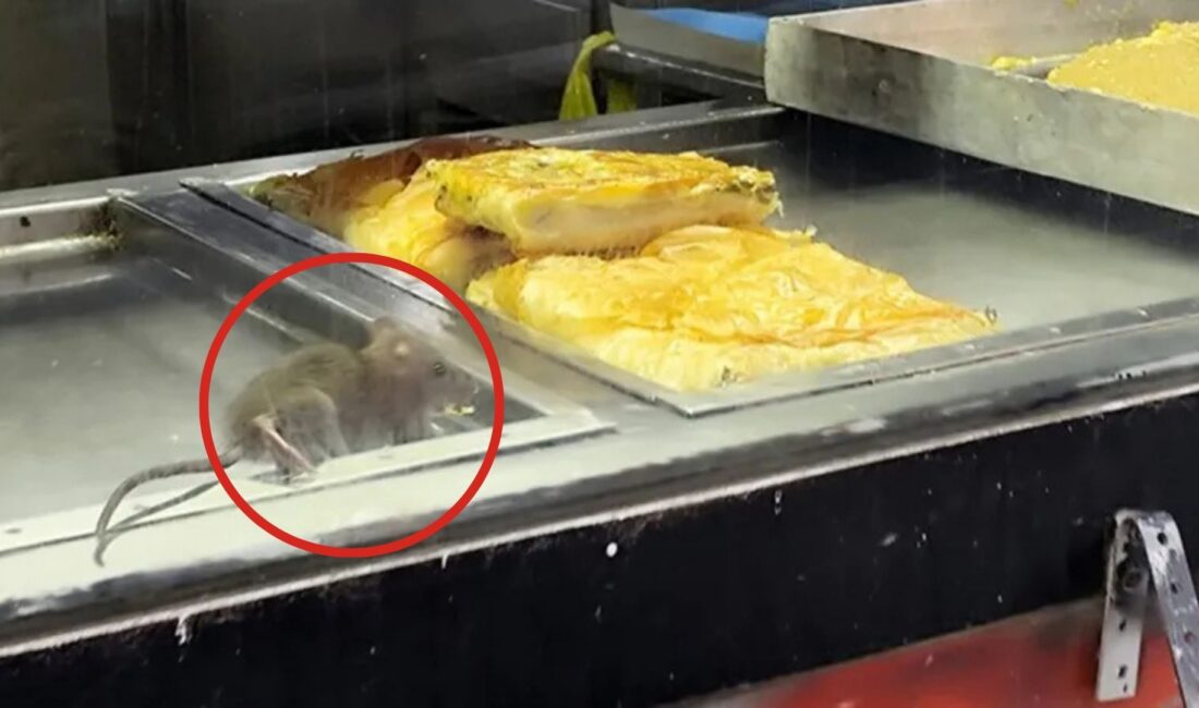 İzmir’in Buca ilçesinde bulunan bir börekçide cam vitrinin içindeki böreğin