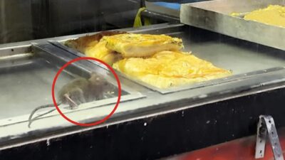 İzmir’in Buca ilçesinde bulunan bir börekçide cam vitrinin içindeki böreğin