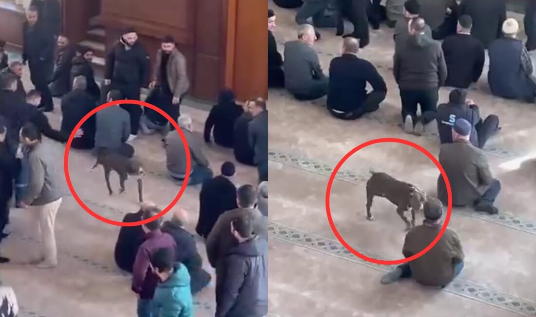 Kocaeli’nin Çayırova ilçesinde vaaz sırasında açık kapıdan içeri giren yasaklı