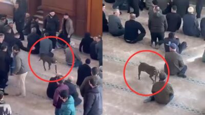 Kocaeli’nin Çayırova ilçesinde vaaz sırasında açık kapıdan içeri giren yasaklı