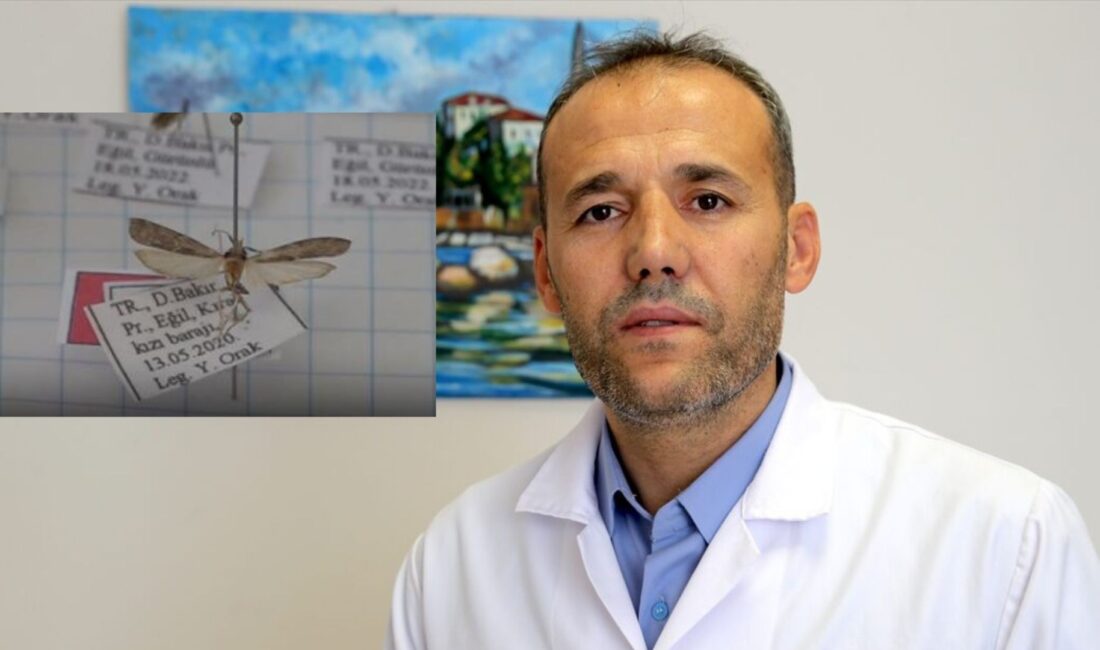 Bitlis Devlet Hastanesinde laboratuvar teknikeri olarak çalışırken, Bitlis Eren Üniversitesi