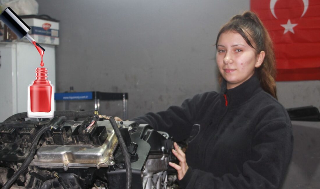 Altınordu Mesleki Eğitim Merkezi 10. sınıf öğrencisi olan Dilem Selis,