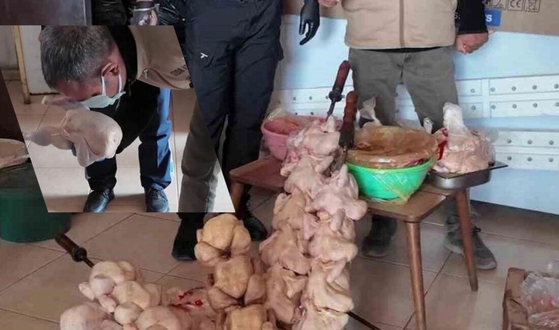 Kırıkhan Belediyesi zabıta ekipleri, halk sağlığını tehdit eden işletmelere yönelik