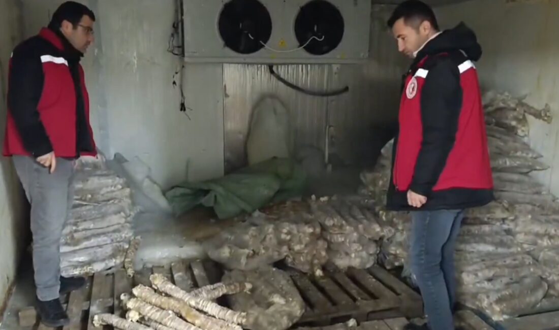 Gerekli izinleri almadan, onaysız bir şekilde faaliyet yürüten bir işletmede