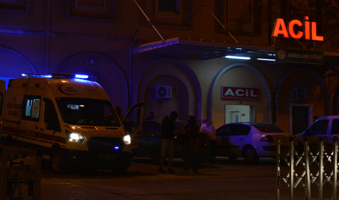 Korkunç olay, Mardin‘in Artuklu ilçesine bağlı kırsal Gökçe Mahallesi’nde yaşandı.