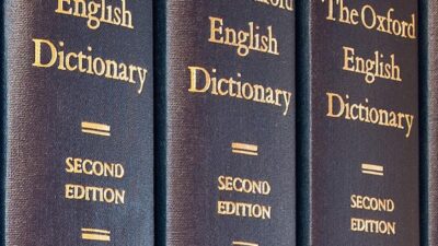 Kelime, çevrim içi ortamda öfkeyi tetikleyen, kışkırtıcı veya provoke edici