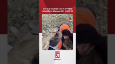 (İSTANBUL) Arnavutköy’de bulunan Bolluca Mavi Göl’ün, İstanbul Büyükşehir Belediyesi tarafından