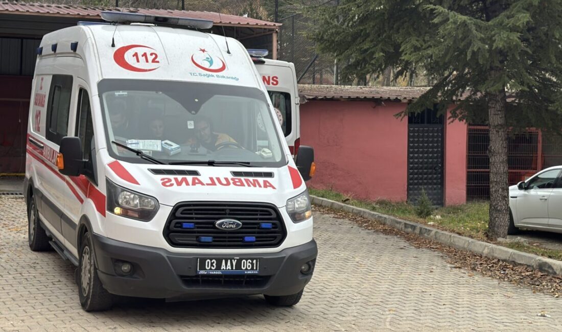 - Afyonkarahisar'ın Çay ilçesindeki 112 Acil Sağlık Hizmetleri İstasyonu'nda görev