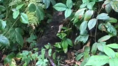 Çevredeki vatandaşların ihbarı üzerine bölgeye ulaşan itfaiye ekipleri, güvenlik önlemleri