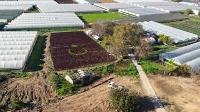 Muratpaşa’ya bağlı Zümrütova Mahallesi’nde gerçekleştirilen çalışma, çiftçiler Recep Ülker ve