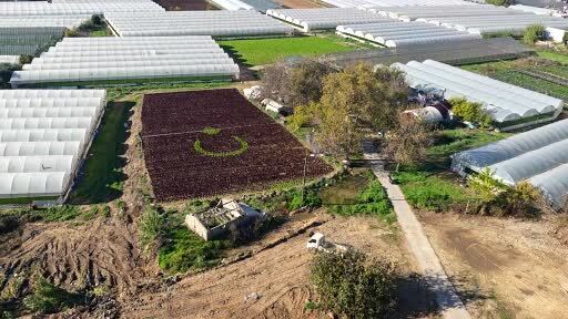Muratpaşa’ya bağlı Zümrütova Mahallesi’nde gerçekleştirilen çalışma, çiftçiler Recep Ülker ve