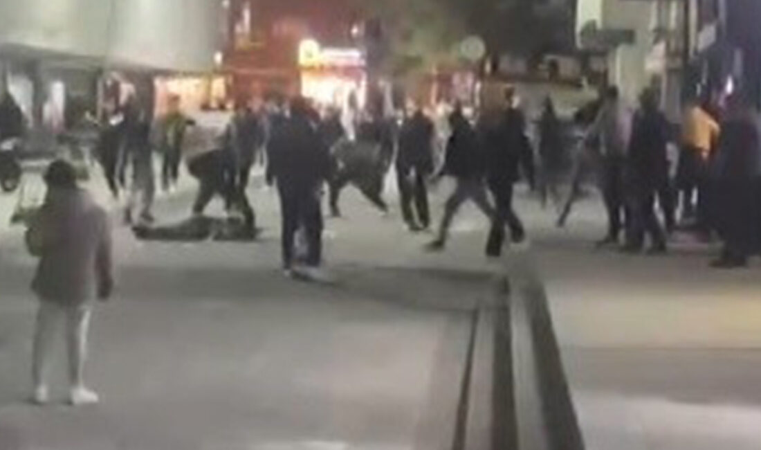 Erzincan merkezinde yer alan Alparslan Türkeş İş Merkezi arkasındaki çay