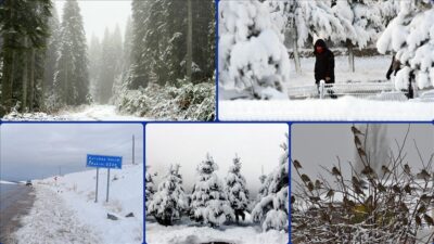 Van’da kar nedeniyle 17 yerleşim biriminin yolu ulaşıma kapandı. Karla mücadele ekipleri,