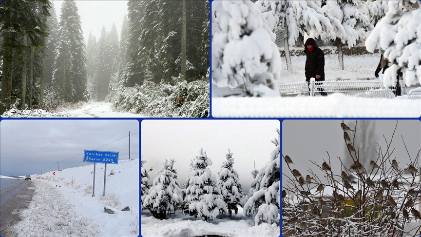 Van’da kar nedeniyle 17 yerleşim biriminin yolu ulaşıma kapandı. Karla mücadele ekipleri,