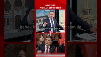 Türkiye Büyük Millet Meclisi Genel Kurulu’nda İYİ Parti Aydın Milletvekili