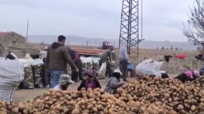 Türkiye’nin patates üretim merkezlerinden birisi olan Afyonkarahisar’ın Şuhut ilçesinde patates