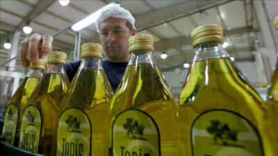 Tarım yazarı Ali Ekber Yıldırım, Tariş Zeytin ve Zeytinyağı Birliği’nin