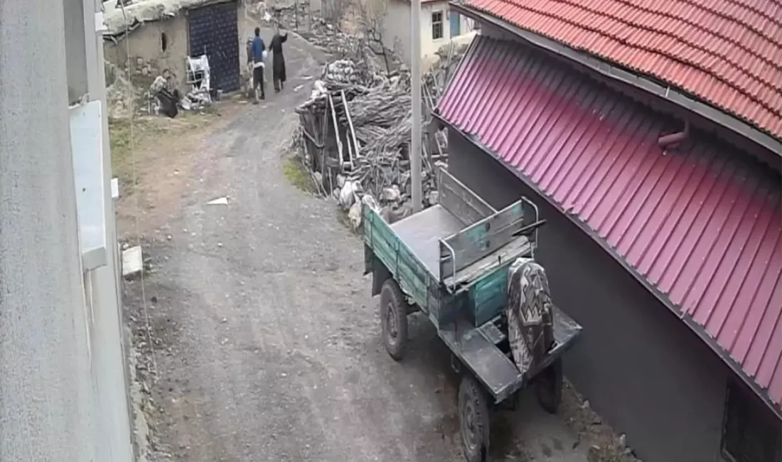 Olay, geçtiğimiz Kasım ayında Çay ilçesine bağlı bir köyde meydana