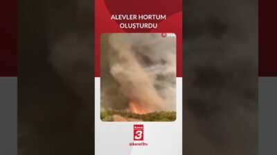 Sakarya’nın Geyve ilçesinde başlayıp Bilecik’e sıçrayan orman yangınında, Orman Genel