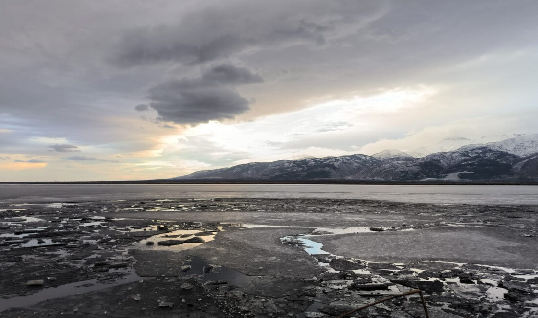 Son günlerde bölgede sıcaklıkların eksi 15 derecelere kadar düşmesi nedeniyle,