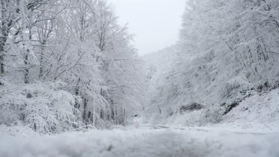 Meteoroloji Genel Müdürlüğü (MGM), İstanbul dahil 31 il için “Sarı