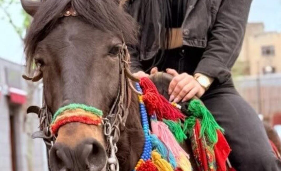 HELİN K. (/ANTALYA-İHA)Geçtiğimiz günlerde eşinin başından silahla vurulmuş halde hastaneye