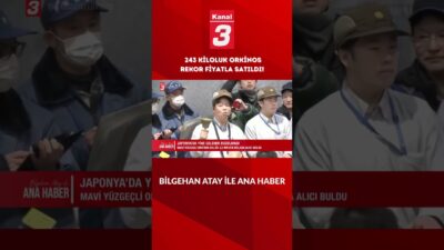 Tokyo’daki balık halinde yeni yılın ilk mezatında büyük bir rekor