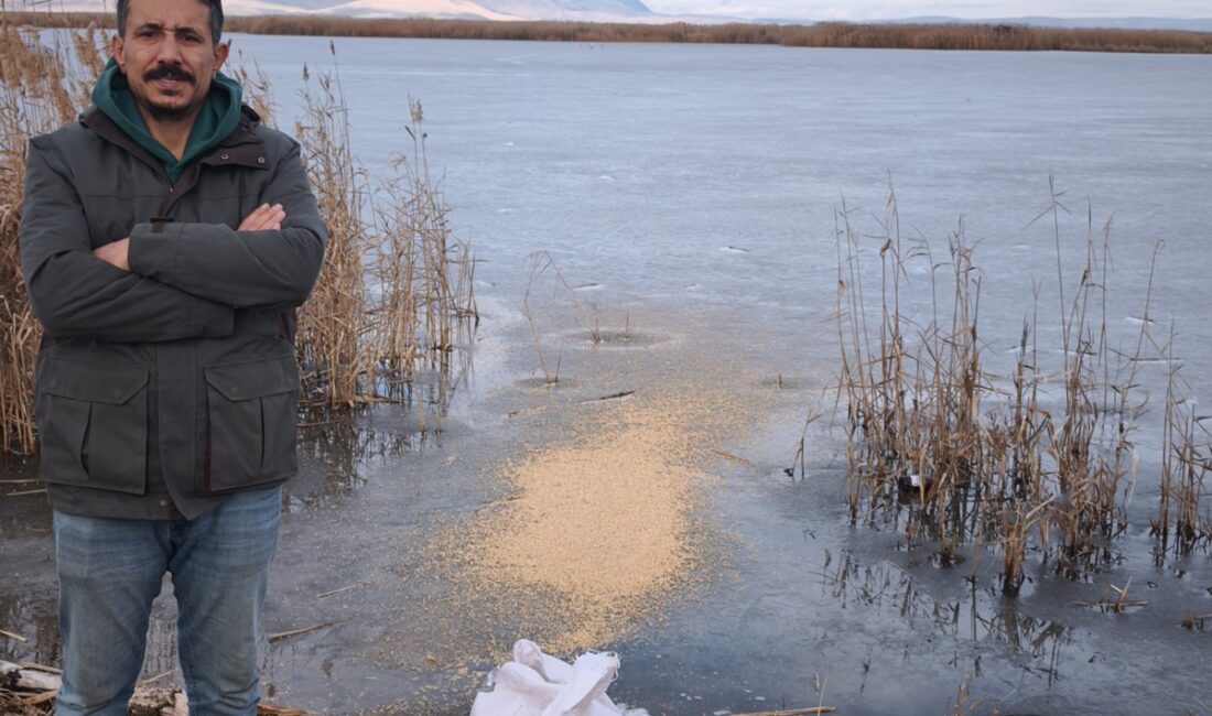   Eber Gölü tamamen dondu Hava sıcaklıklarının düşmesiyle birlikte Afyonkarahisar’daki