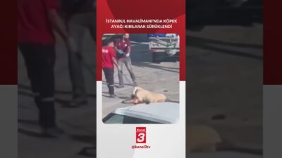 Kazakistan’ın Shymkent kentinden SCAT Havayolları ile 10 Eylül’de İstanbul Havalimanı’na