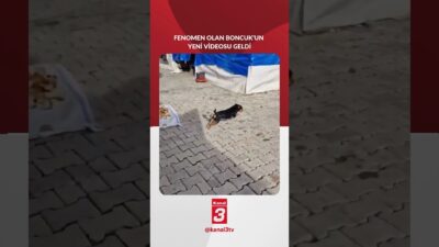 Fenomen olan Boncuk’un yeni videosu geldi 📶https://kanal3.com.tr/ Sosyal Medya Hesaplarımızı