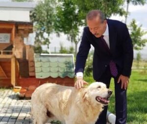 Afyonkarahisar’ın Bolvadin ilçesine bağlı Dişli beldesinde bir köpeğin cansız bedeninin
