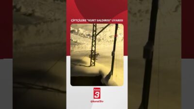 Yüksekova’da çiftçilere kurt tehlikesine karşı uyarı yapıldı. Hakkari’nin Yüksekova ilçesinde