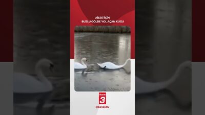 Ailesi için önden giderek, buz tutmuş gölde yolu açan erkek