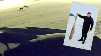 Sivas’ta son yılların en sert kış koşulları etkisini sürdürürken, doğada