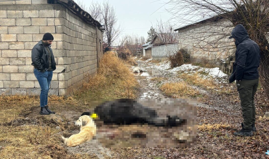 Sabah saatlerinde evine gelen Serhat Elçi, kapısının önünde sadık hayvanlarının