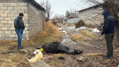 Sabah saatlerinde evine gelen Serhat Elçi, kapısının önünde sadık hayvanlarının