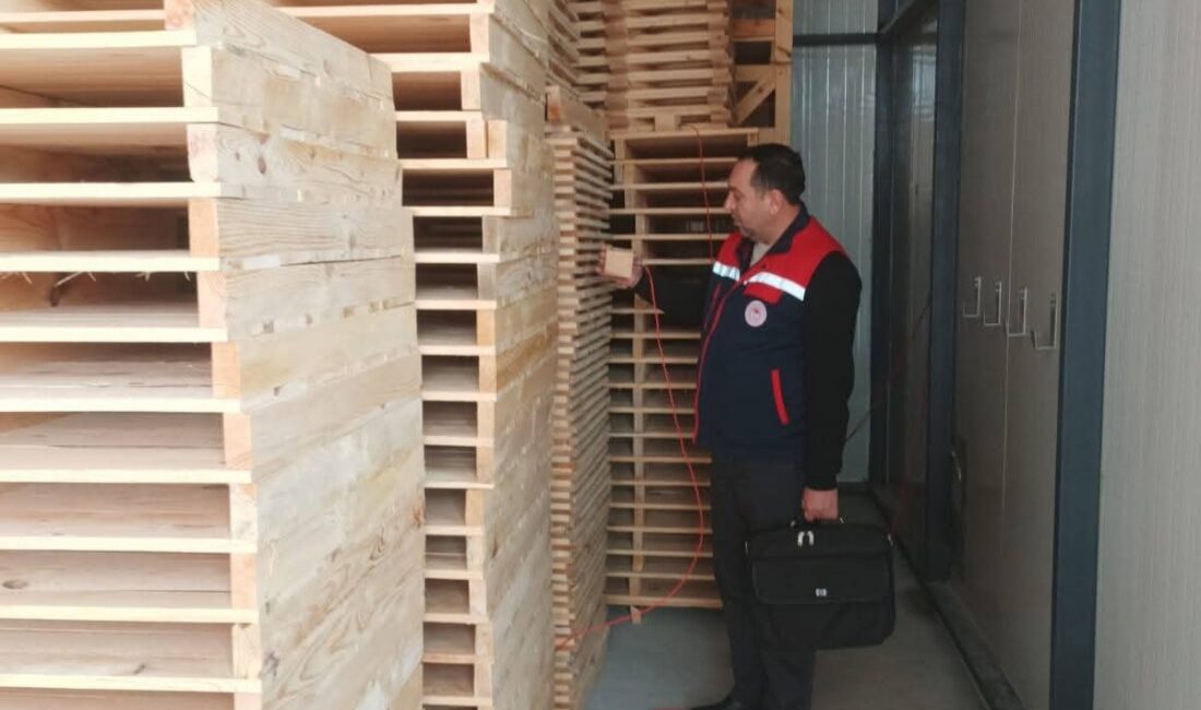 Bitkisel Üretim ve Bitki Sağlığı Şube Müdürlüğü teknik elemanlarınca gerçekleştirilen