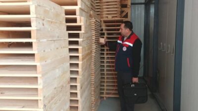 Bitkisel Üretim ve Bitki Sağlığı Şube Müdürlüğü teknik elemanlarınca gerçekleştirilen