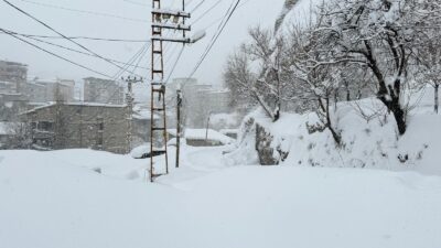 Hakkari genelinde etkili olan yoğun kar yağışı, hayatı olumsuz etkilemeye