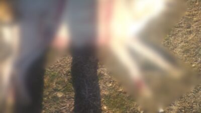 Burdur'un Bucak ilçesinde sahipsiz köpeklerin silahla vurularak öldürüldüğüne dair sosyal