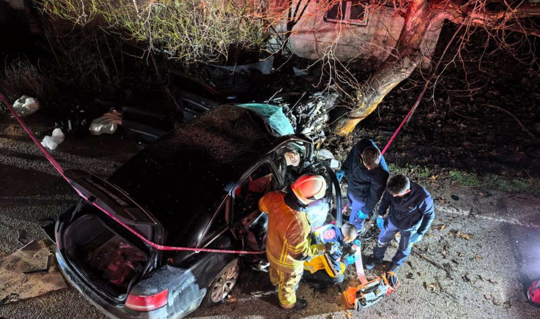 Bursa'nın İnegöl ilçesinde gece saatlerinde meydana gelen trafik kazasında, kontrolden