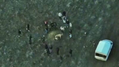 Afyonkarahisar’ın Sandıklı ilçesinde yasa dışı köpek dövüşü yaptıran şahıslar, Jandarma