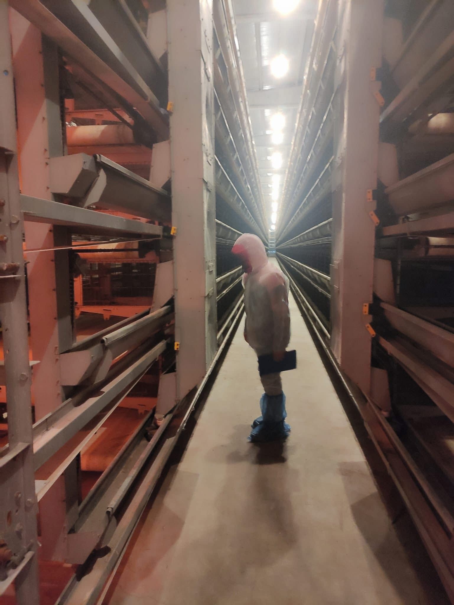  Afyonkarahisar’ın Bolvadin ilçesindeki kanatlı hayvan ve yumurta üretim işletmelerine yönelik