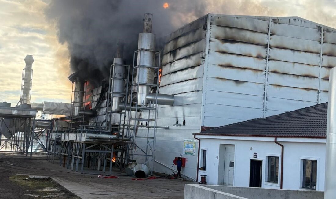 Olay, Emirdağ ilçesine bağlı Davulga beldesinde meydana geldi. Edinilen bilgilere