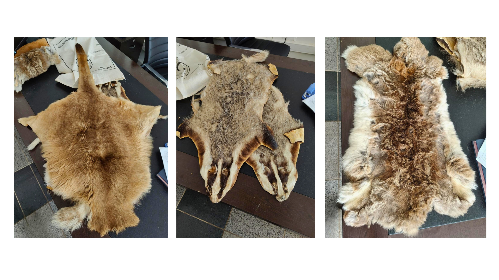 Doğa Koruma ve Milli Parklar Genel Müdürlüğü ekipleri, Kilis Öncüpınar