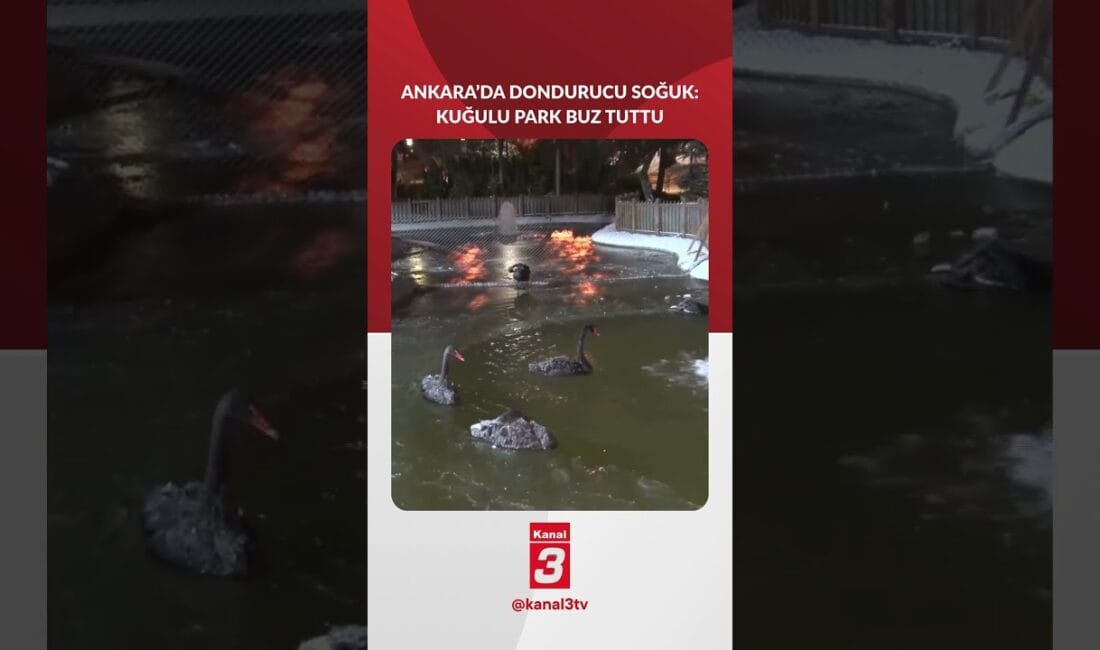 Hastane ve Gazze Sağlık Bakanlığı sözcüsü Dr. Halil ed-Dekran, “Hastanelere