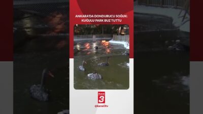 Ankara’da kar yağışının ardından dondurucu soğuk etkili oldu. Termometreler -11