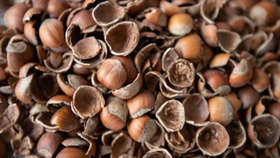 Sakarya'da çevre dostu ve yenilikçi yaklaşımla faaliyete geçirilen tesiste, fındık